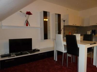 Lipp Apartments - 28
