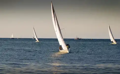 Diana - 19
