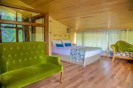 Ayder Doga Resort - 126