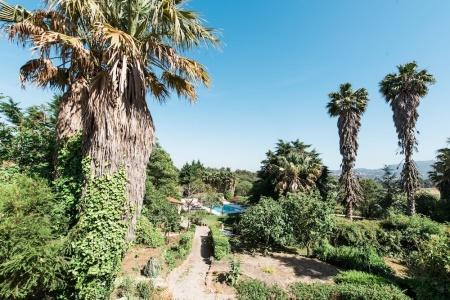 Quinta Verde Sintra - Casa de Campo - 86