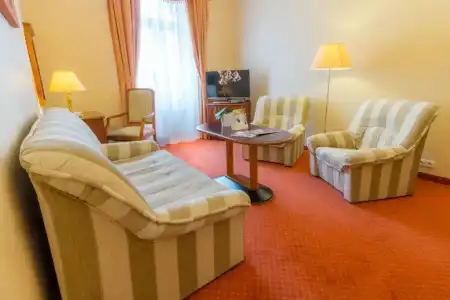 Danubius Health Spa Resort Centrální Lázne - 82