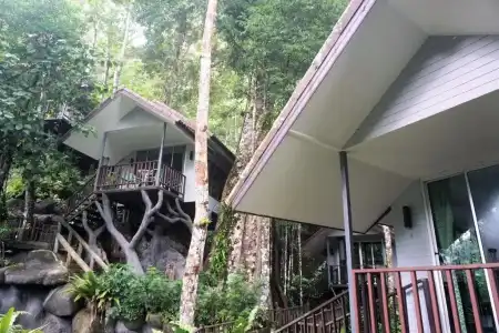 Rock And Treehouse Resort - 16