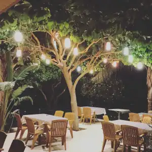 Camyuva Motel - 16