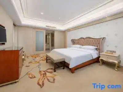 Vienna Dongguan Humen Wanda Plaza - 68