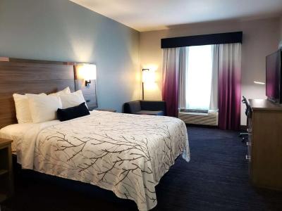 Best Western Plus San Antonio East Inn & Suites - 54