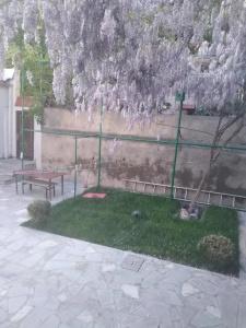 Apart Alex - 5
