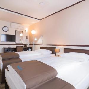 Toyoko Inn Frankfurt am Main Hauptbahnhof - 40