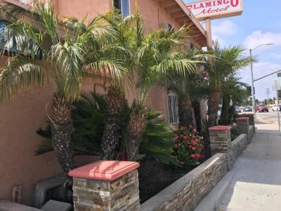 Flamingo Motel Oxnard - 4