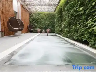 Alba Spa - 50