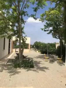 Il Casolare degli Ulivi - 16
