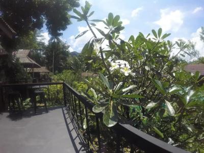 Morning Mist Resort - 47