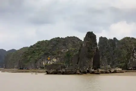UniCharm Cruise - 16