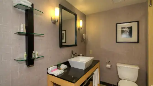 Holiday Inn Boise Airport by IHG - 7