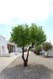 Terra di Leuca - 39