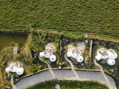 Green Land Bubble Glamping - 13