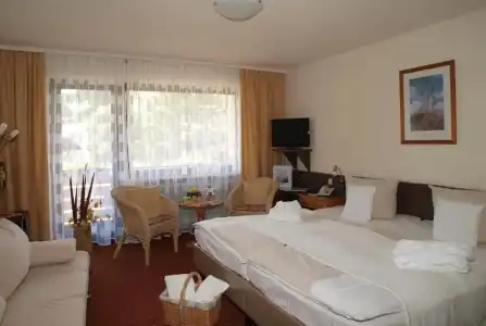 FerienSchwarzwälder Hof - 52