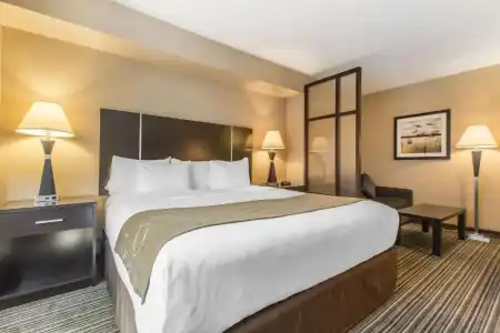 Comfort Suites Downtown - 33