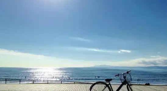 Laguna - 14