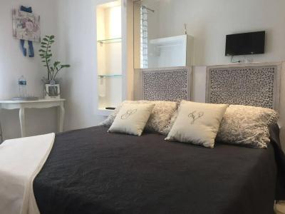 Siena Vip - 16
