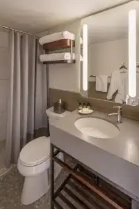 The Wildbirch - JDV by Hyatt - 30