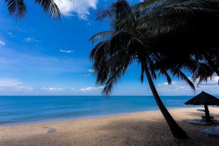 Hawaii Resort Phu Quoc - 10
