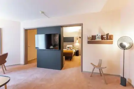 Mercure Grenoble Centre Porte des Alpes - 108