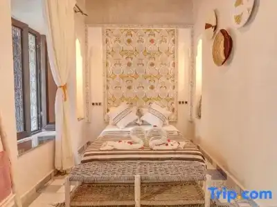Riad Les Oliviers & Spa - 48