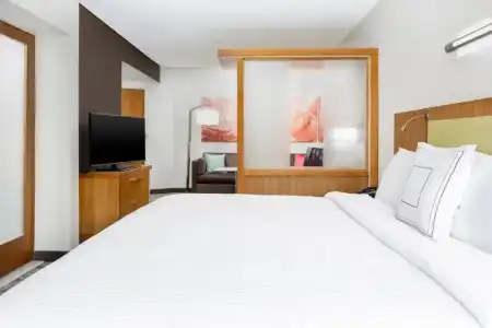 Springhill Suites San Diego Mission Valley - 52