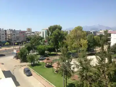 Mutado - 17