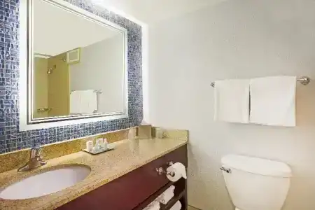 Wyndham Garden Lake Buena Vista – Disney Springs® Area - 123