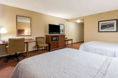 Hampton Inn & Suites Florence-North-I-95 - 5