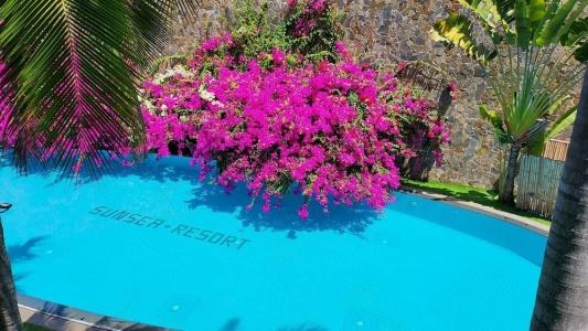Sunsea Resort - 129