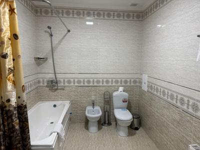 Grand Shirin Palace - 52
