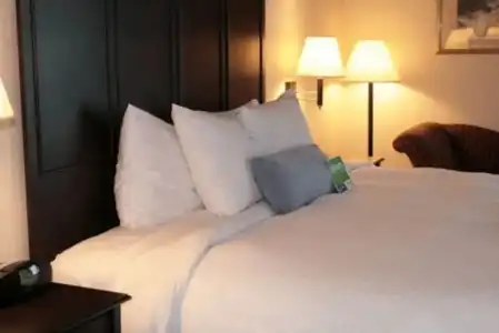 Bloom Mississauga, Tapestry Collection by Hilton - 1