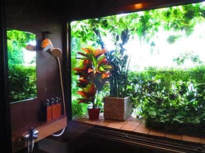 Stella Resort - 39