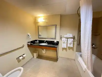 Comfort Suites Fredericksburg North - 94