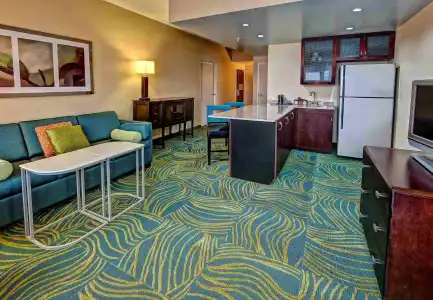 SpringHill Suites Marriott Norfolk Old Dominion University - 18