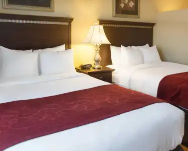 Comfort Suites Fredericksburg North - 114