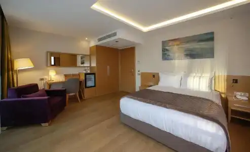 Ramada By Wyndham Bursa Çekirge Thermal & Spa - 29