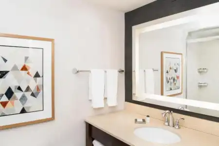 Sheraton Ann Arbor - 63