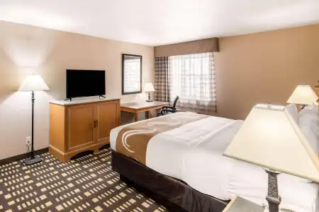 Quality Inn & Suites Plano East - Richardson - 29