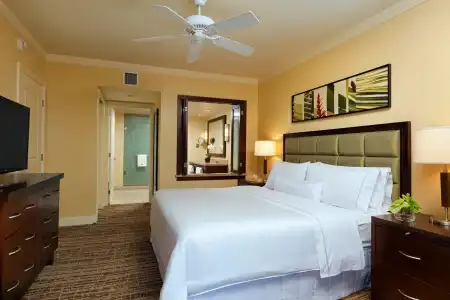 The Westin Ka'anapali Ocean Resort Villas - 19