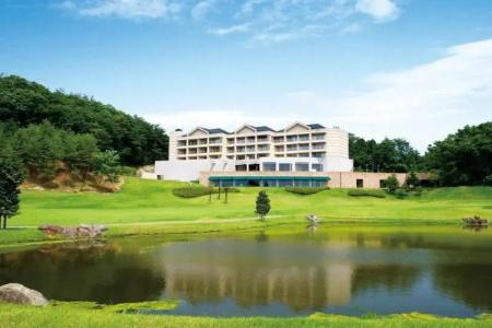 Nasu Sunlight - 17