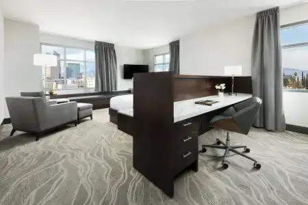 DoubleTree by Hilton Tucson Downtown Convention Center - 99