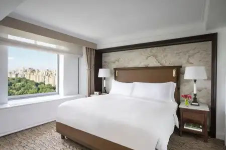 The Ritz-Carlton New York, Central Park - 29