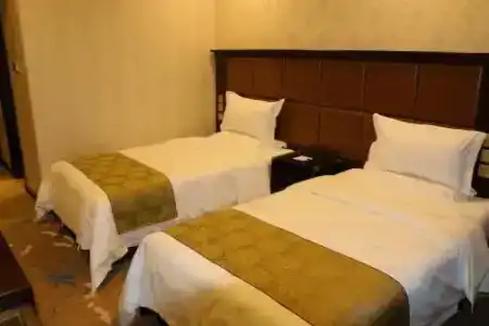 Level of Details International - 2