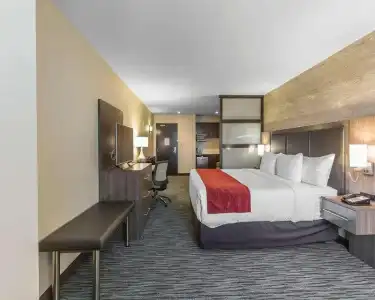 Comfort Inn & Suites Airport North - 21