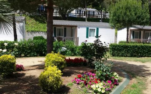 Camping Senia Cala Gogo - 10