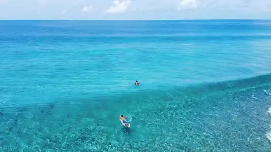 The Maverick Surf and Dive Boutique - 12