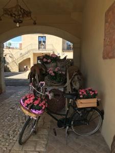Casale delle Rose - 30